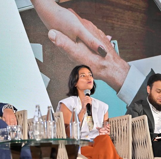 https://openap.neutralairpartner.com/wp-content/uploads/2025/03/panel6-540x533.jpg